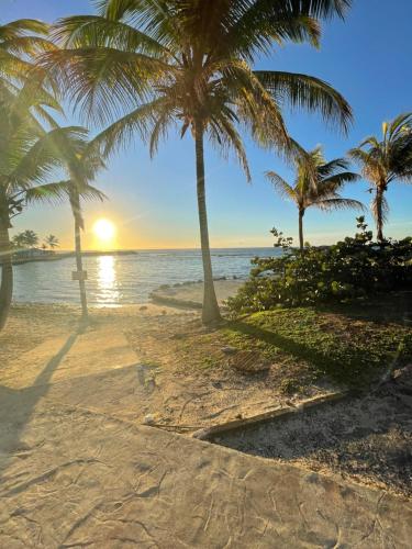 a beach with palm trees and the ocean at sunset at Studio 25 m Manganao Joela 4 personnes avec machine a laver in Saint-François