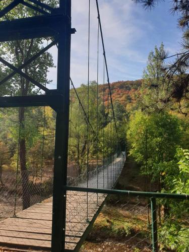 a suspension bridge over a river in the woods at Vila Vera Borsko Jezero in Bor