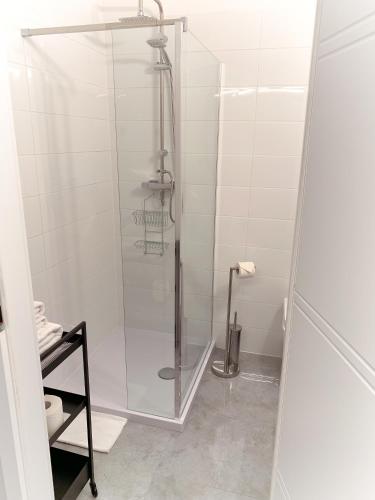 a shower with a glass door in a bathroom at Apartamenty Plac Kolegiacki in Poznań