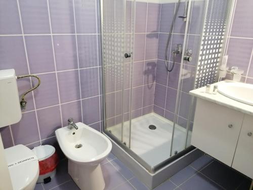 a bathroom with a shower and a toilet and a sink at Casa La Fayette in Timişoara