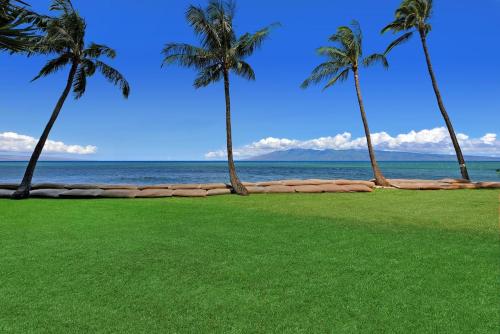 a lawn with palm trees and the ocean at May on Sale! Book Now for May and SAVE BIG! in Kahana