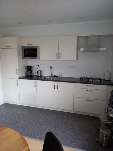 a white kitchen with a sink and a microwave at B&B Kleintje Eleveld in Eleveld