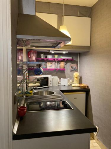 une petite cuisine avec un évier et un micro-ondes dans l'établissement Studio Dragon avec gardien, à Marseille