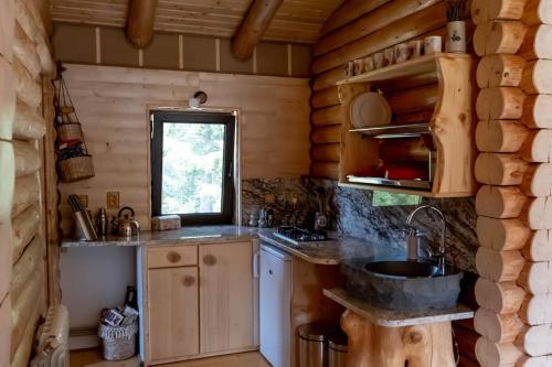 una cocina con fregadero en una cabaña de madera en Cabana Paulownia, en Budeşti