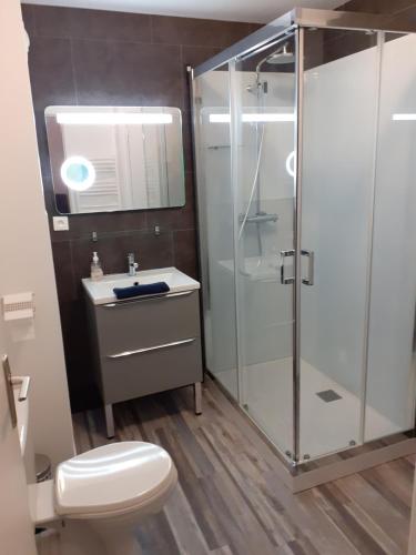 une salle de bain avec une douche, des toilettes et un lavabo dans l'établissement Avec JARDINET sans vis à vis Plein centre ville au RDC 350m de la plage, à Dieppe