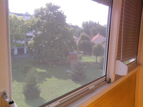 a window with a view of a yard at Bartók Apartman in Harkány