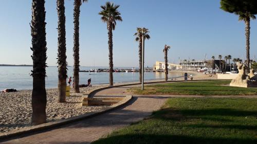 un sentiero vicino a una spiaggia con palme di 35 ter rue du Docteur Marçon a Bandol