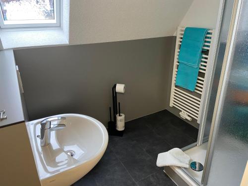 Koupelna v ubytování Gästehaus Graupner-Mittweida