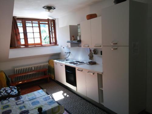 uma pequena cozinha com um fogão e um frigorífico em BUONAVACANZA IN MONTAGNA em Limone Piemonte