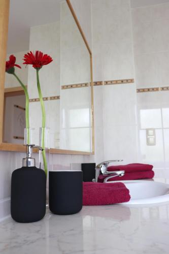 two vases with red flowers on a counter in a bathroom at Gutenberg - helle und geräumige Wohnung in Uninähe in Mainz