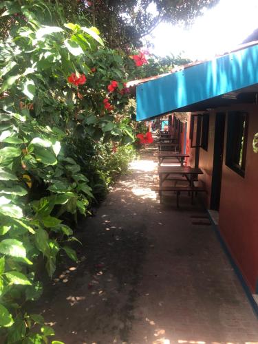 a walkway with red flowers and a row of benches at Tri M Waves Lodge in Ponta do Ouro