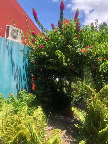 a garden of flowers and plants in front of a building at Tri M Waves Lodge in Ponta do Ouro