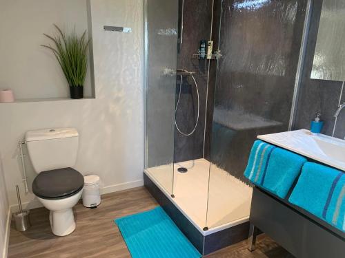 La salle de bains est pourvue d'une douche, de toilettes et d'un lavabo. dans l'établissement Domaine de Jarentin - Chambres d'hôtes, à Saint-Marcel-de-Félines