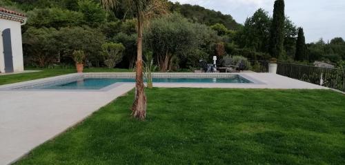 una palmera en el césped junto a una piscina en Les lodges de l'oliveraie de Virevent, en Grasse