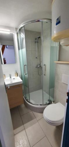 une salle de bain avec une douche, des toilettes et un lavabo dans l'établissement Petit studio, plein centre ville, grande terrasse, à Bagnères-de-Bigorre