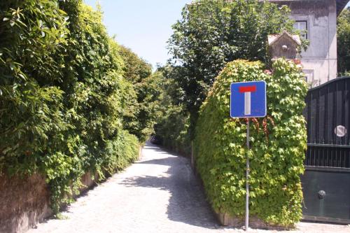 Zahrada ubytování Hotel Sintra Jardim