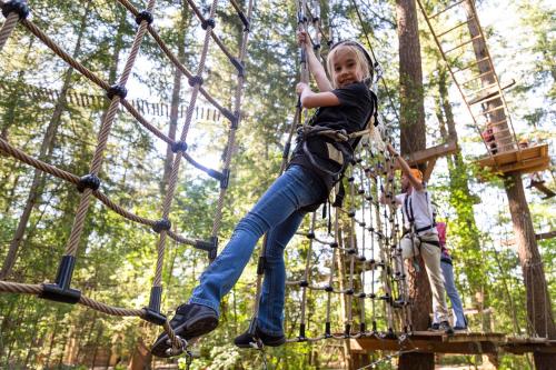 a young girl on a rope swing at a park at TopParken - Resort Veluwe in Garderen