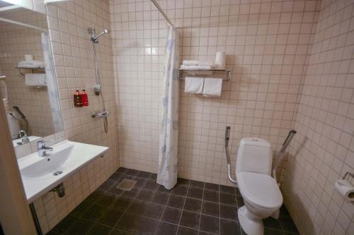 a bathroom with a toilet and a sink and a shower at Trysil-Knut Hotel in Trysil