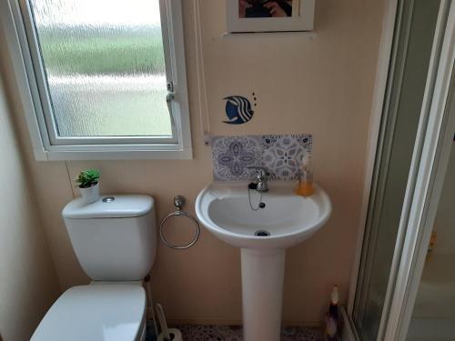 uma casa de banho com um WC, um lavatório e uma janela em 24 The Beeches Caravan Park em Gilcrux