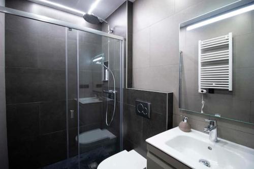 a bathroom with a shower and a toilet and a sink at Apartamento Moderno a 5 min. Funicamp in Encamp