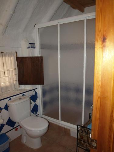 a bathroom with a toilet and a shower at La Barraca d'en Salvador in Deltebre