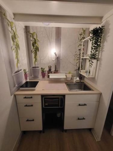 a small kitchen with a sink and potted plants at Vendôme studio rosso superbe centre ville in Vendôme
