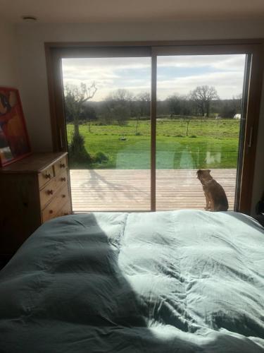 un lit dans une chambre avec vue sur un chien par la fenêtre dans l'établissement Maison entre Golfe du Morbihan et Presqu'île de Rhuys, à Surzur