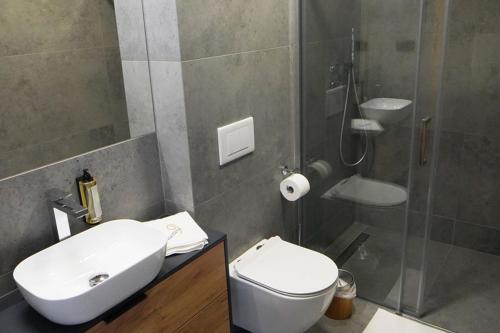 a bathroom with a toilet and a sink and a shower at Beskidzka9 & Free Sauna in Szczyrk