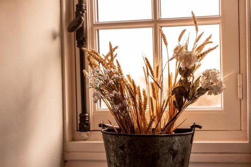 a vase filled with flowers sitting in front of a window at Hotel Ô Château in Hayange