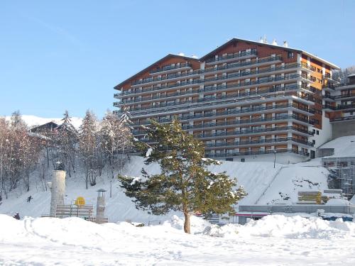 ein großes Gebäude mit einem Baum im Schnee in der Unterkunft Apartment Christiania 2 O1 by Interhome in Nendaz