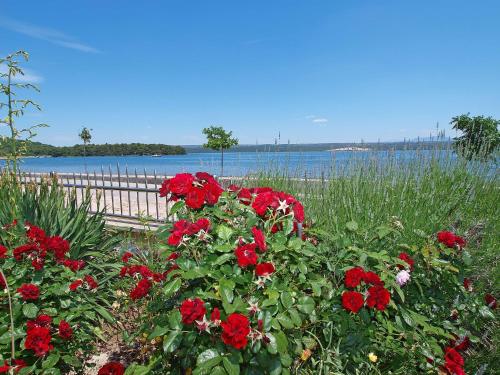 a garden with red flowers in front of the water at Apartment Ivana-3 by Interhome in Raslina