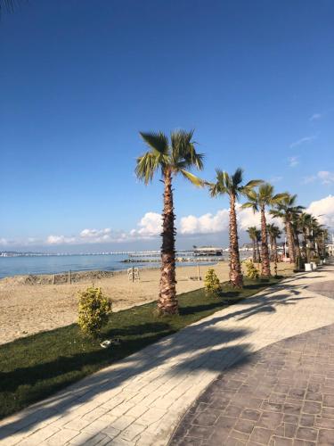 a street with palm trees on the beach at Gazi’s Apartament for Rent in Golem