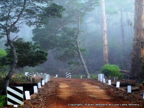 a dirt road in the middle of a forest at The Pemberton Hotel in Pemberton