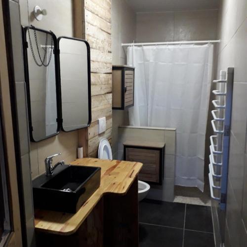 une salle de bain avec un lavabo, des toilettes et une douche dans l'établissement Gites, les Jonquilles, le Sagard et bungalow les brimbelles, nature et détente, à La Houssière