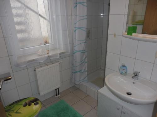y baño pequeño con lavabo y ducha. en Zimmer in Hafennähe, en Dierhagen