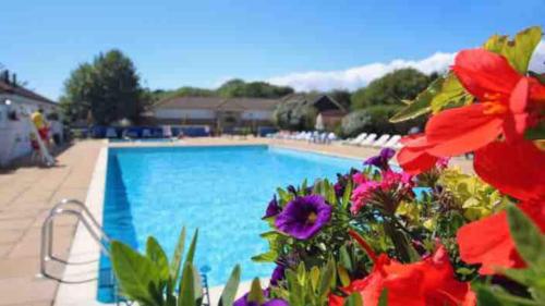 una piscina con fiori di fronte di Heavenly Haven a Lymington