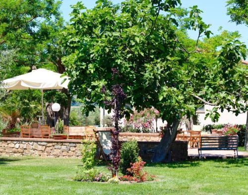 a garden with a tree and an umbrella and a bench at Agriturismo Vecchio Imposto in Massa Marittima