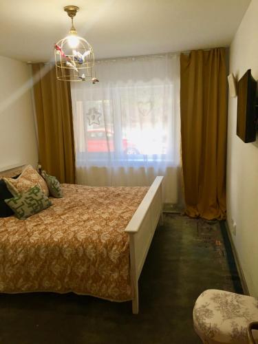 a bedroom with a bed and a window at Apartament Veverițe in Slănic-Moldova