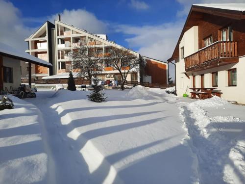 a yard covered in snow next to a building at Casa Maria in Vatra Dornei