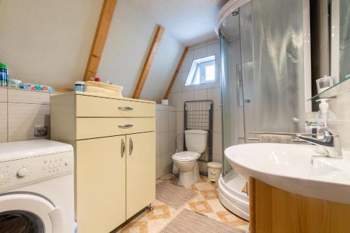 a bathroom with a sink and a washing machine at Villa Teodora in Kopaonik