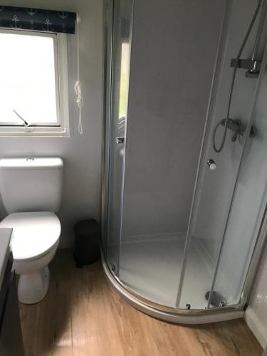a bathroom with a shower and a toilet at Sherdale lodge in Builth Wells
