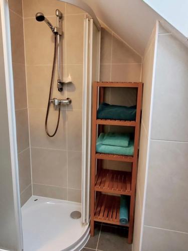 a bathroom with a shower and a toilet at Pen Braint in Newborough