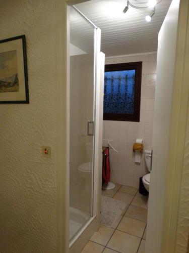 a bathroom with a shower and a toilet at Chez Laurette et Louis in Ugine