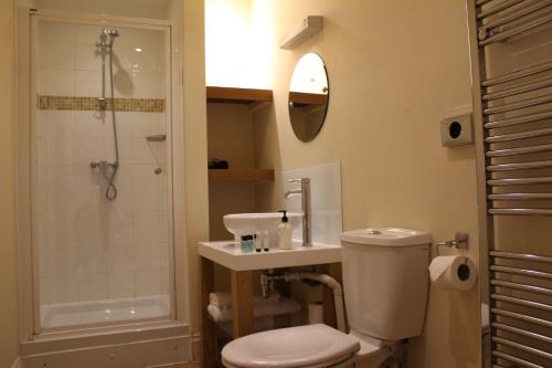 uma casa de banho com um WC, um lavatório e um chuveiro em The Bulls Head em Chichester