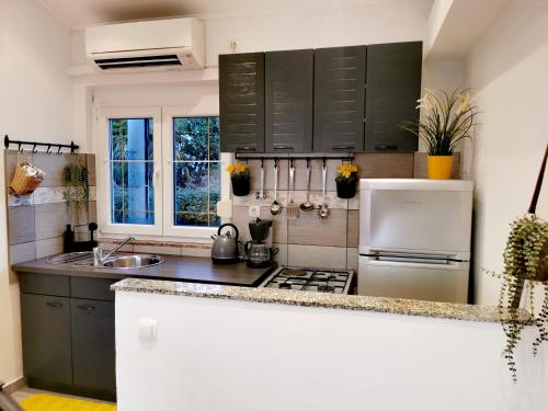 Kuchyň nebo kuchyňský kout v ubytování Apartments Lino