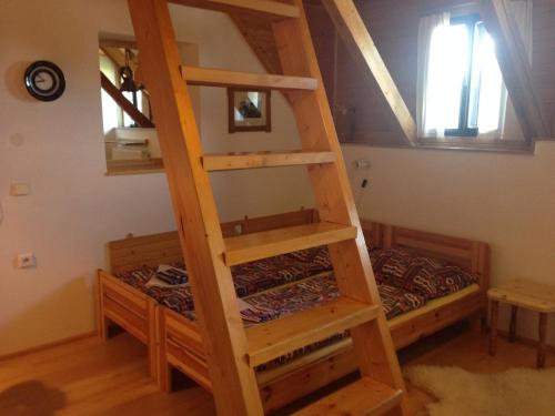 a loft bed in a room with a bunk bed at Yveta - Depandance Horské Zátiší in Horni Misecky