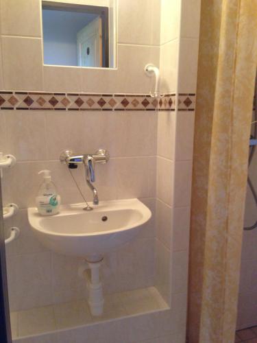 a bathroom with a sink and a mirror at Yveta - Depandance Horské Zátiší in Horni Misecky