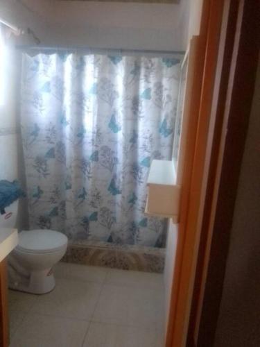 ein Bad mit einem WC und einem Duschvorhang in der Unterkunft Lynn's Peaceful Space in Willikies
