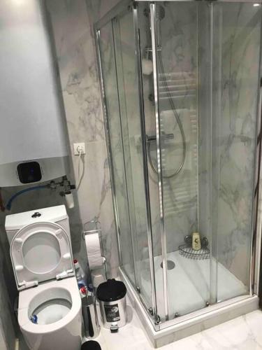 une salle de bain avec douche et toilettes dans l'établissement Superbe appartement Paris/Bercy (12e) wifi&Netflix, à Paris