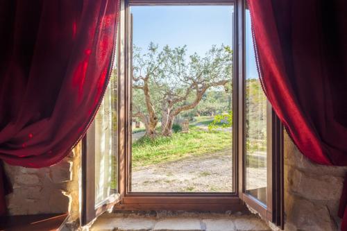 Classic Quadruple Room